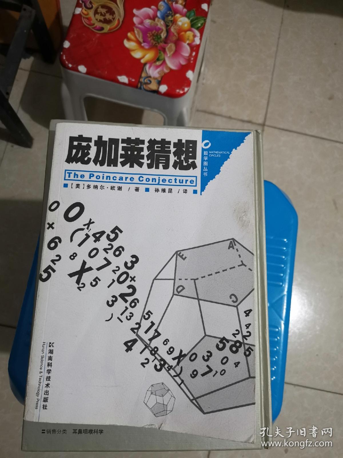 庞加莱猜想:数学圈丛书