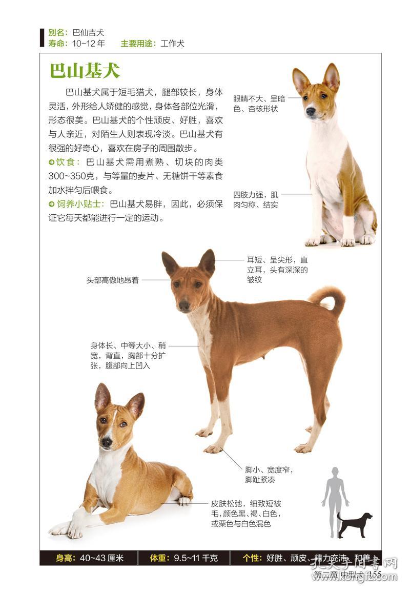 正版全新猫图鉴名犬图鉴全两册猫狗宠物图鉴珍藏养猫养狗手册训狗猫书