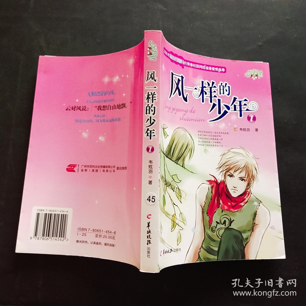 风一样的少年 1