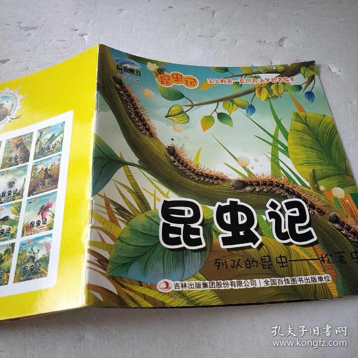 昆虫记 列队的昆虫松毛虫