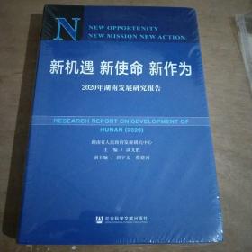 2020年湖南发展研究报告 新机遇 新使命 新作为