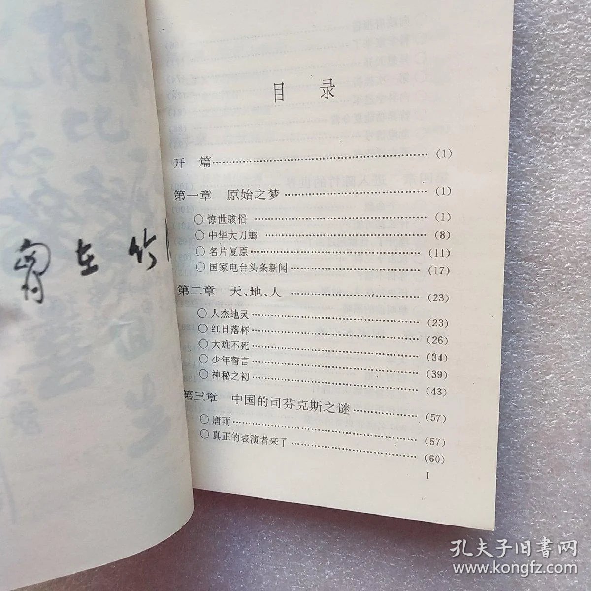 中国超人: 陈竹的世界(陈竹签名赠书)