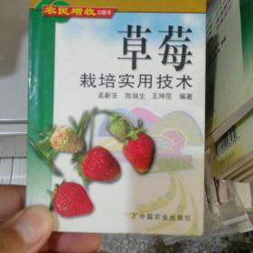 草莓栽培实用技术——农民增收口袋书