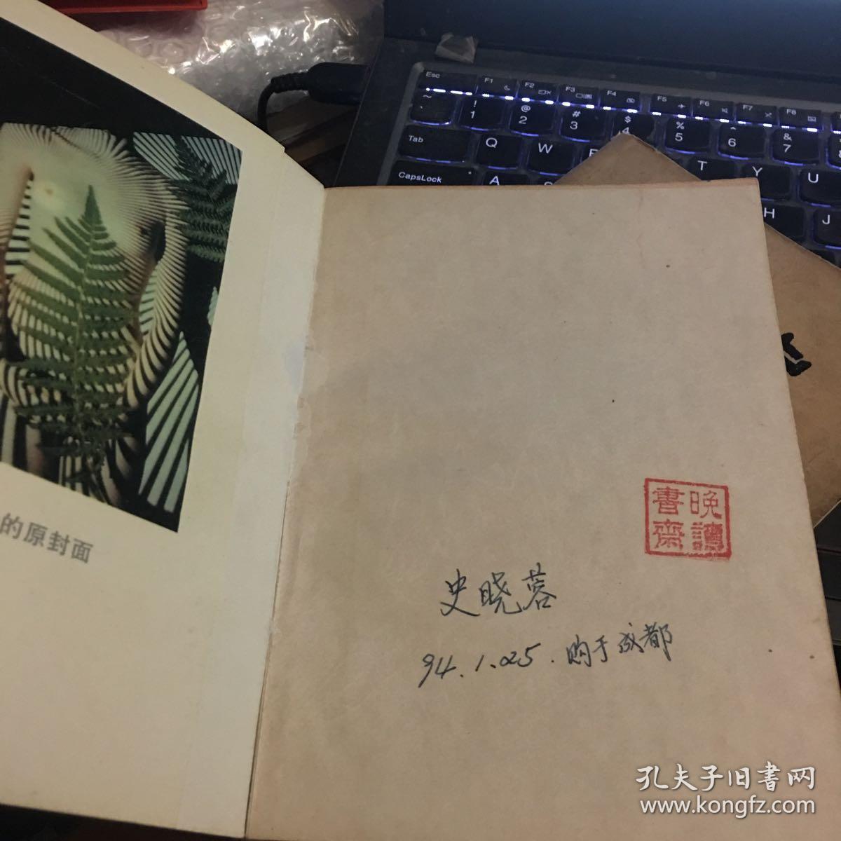 英儿:顾城自传小说(一版一印)