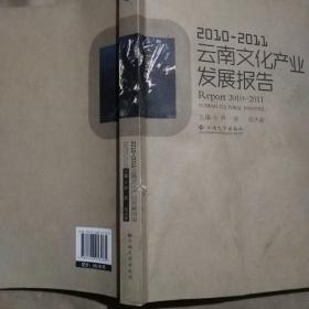 2010～2011年度云南文化产业发展报告