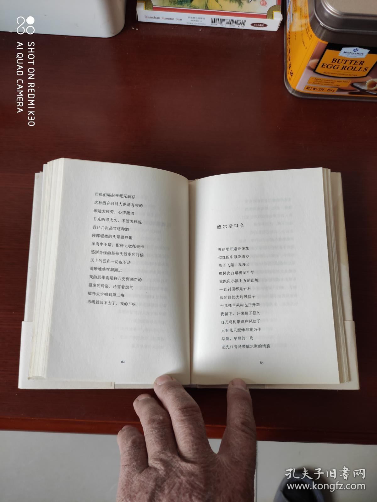 木心作品 伪所罗门书