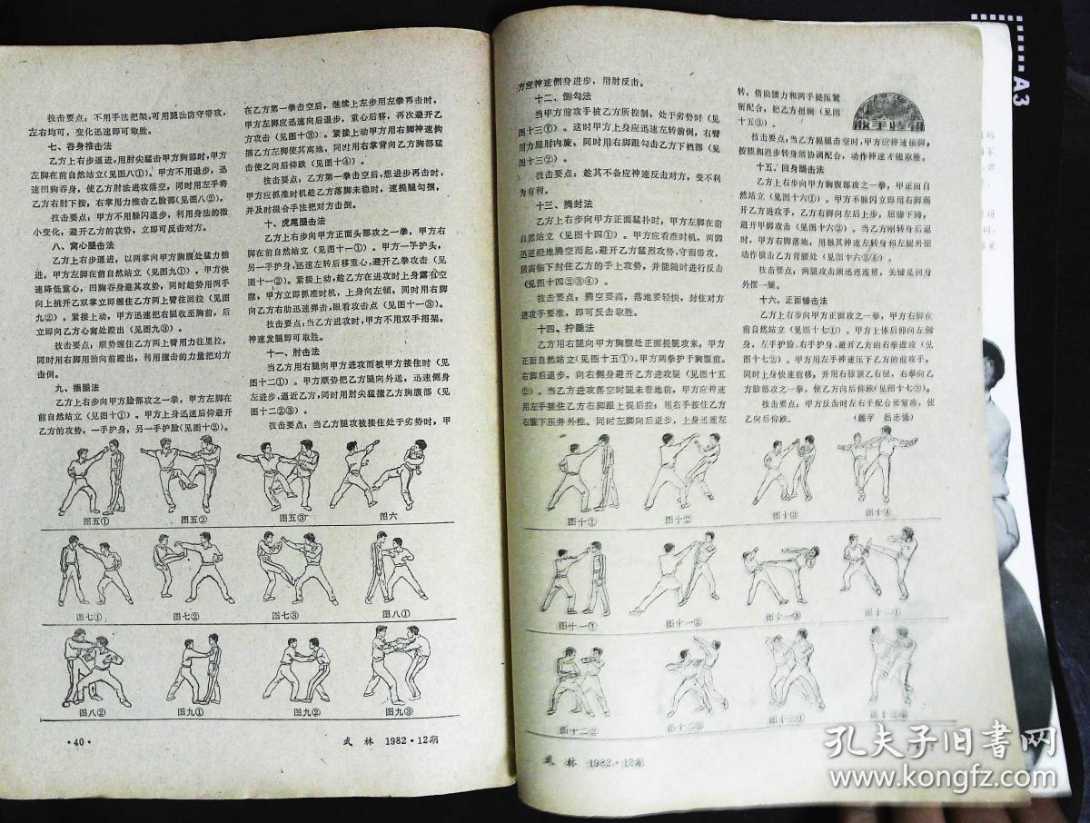 散手练习 内有八卦掌名家王文奎刘兴权;辛亥志士著名拳师郭叔蕃图文