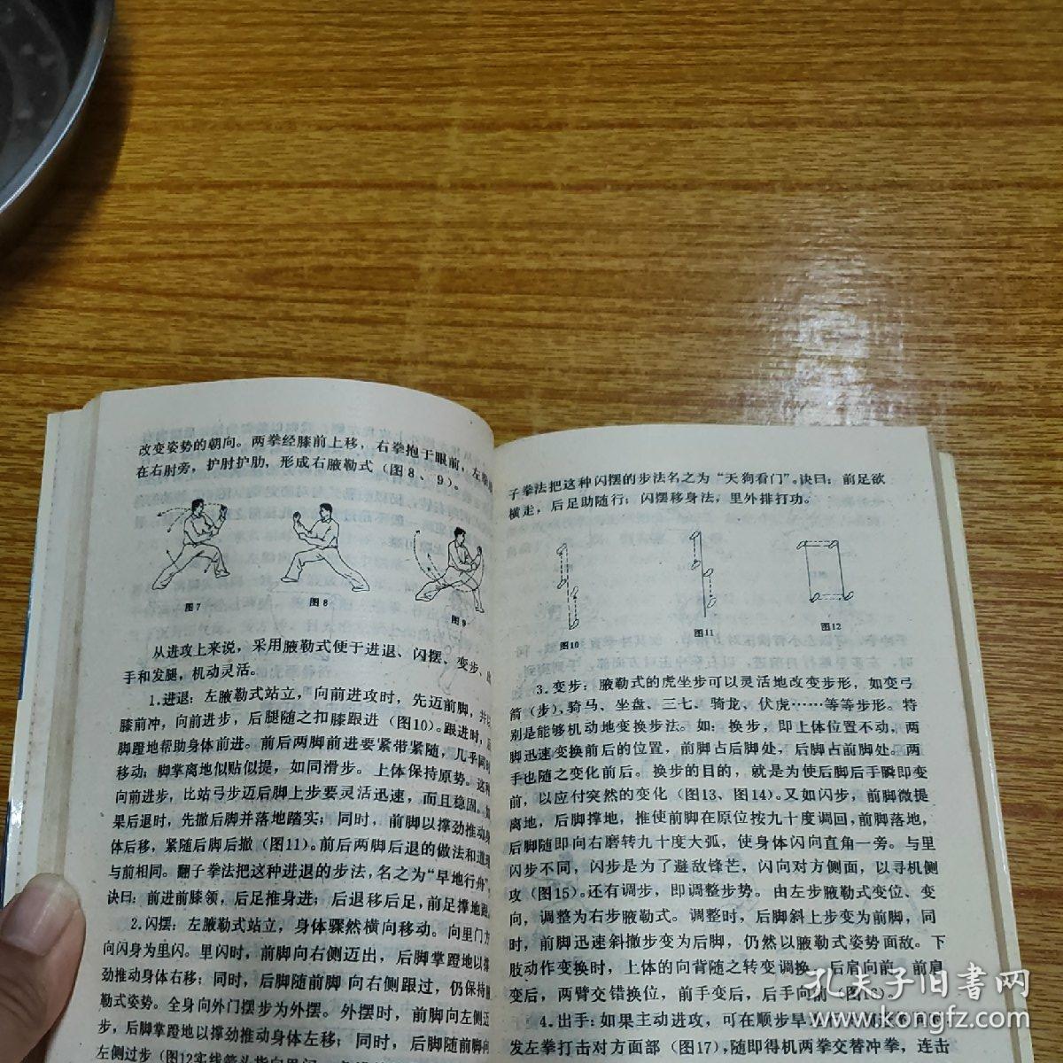 传统功法集粹(书较厚)