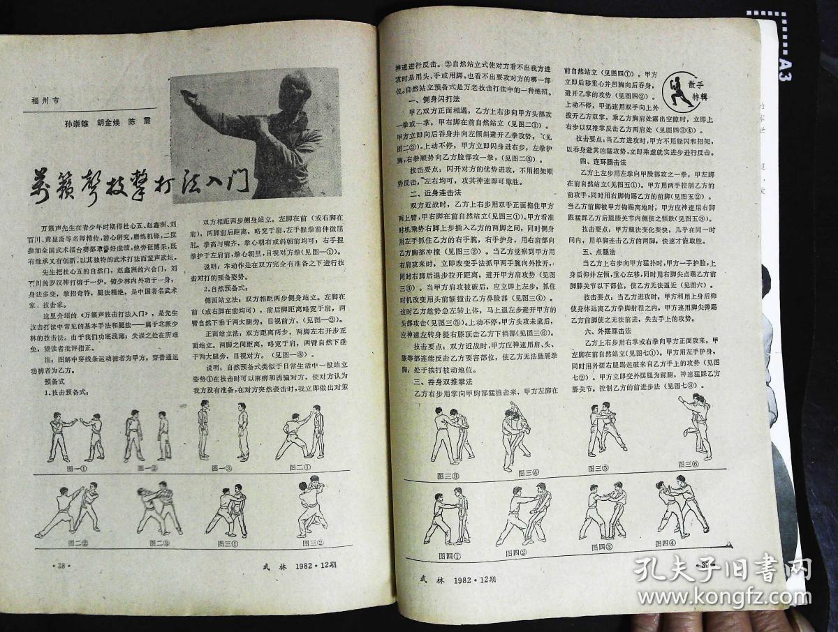 散手练习 内有八卦掌名家王文奎刘兴权;辛亥志士著名拳师郭叔蕃图文