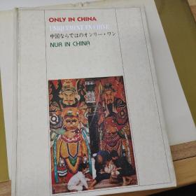 B    画册 ONLY IN CHINA（英日德法文版）  16开精装