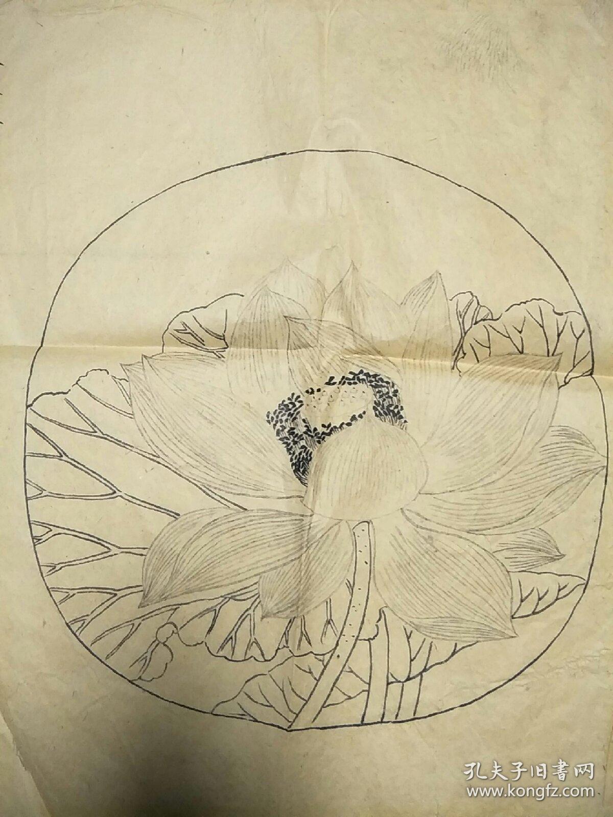 白描出水芙蓉(保手绘)