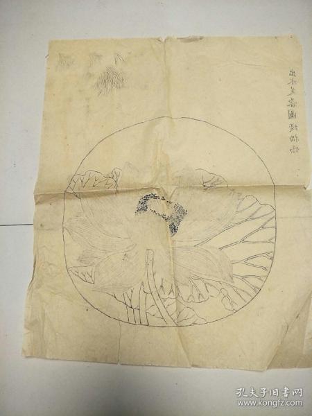 白描出水芙蓉(保手绘)
