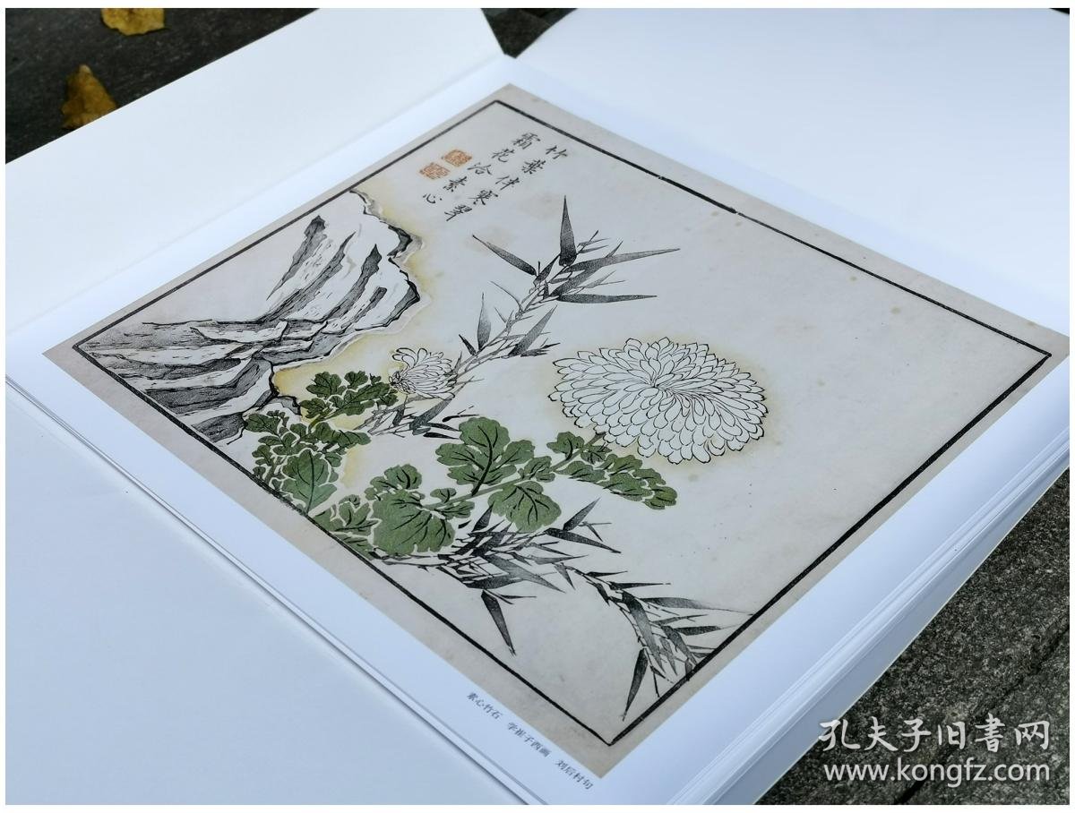 康熙原版全彩芥子园画传 菊卷