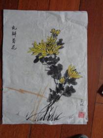 友林初期画稿 手绘《乱瓣菊花》