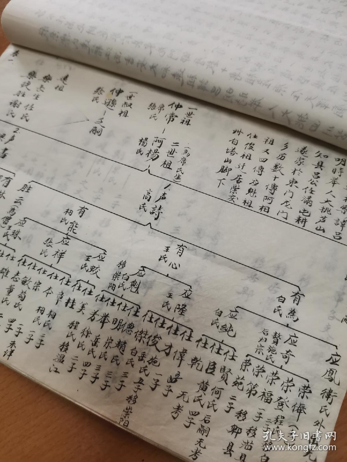 乐氏族谱 祖籍江西太和后迁四川芦山