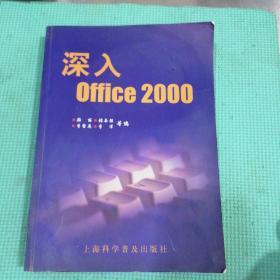 深入Office 2000