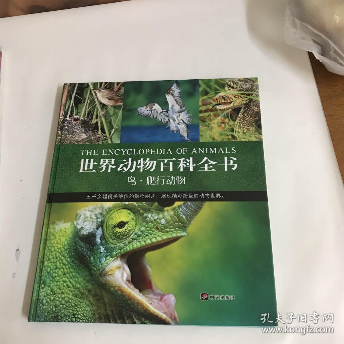 世界动物百科全书:鸟·爬行动物)精准
