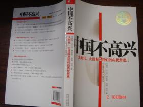 中国不高兴：大时代 大目标及内忧外患