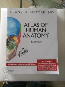 现货 Atlas of Human Anatomy: Enhanced International Edition 英文原版 奈特人体解剖学彩色图谱