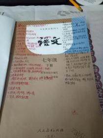 语文七年级下册