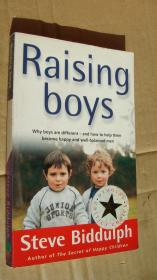 Raising Boys：Why Boys are Different - And How to Help Them Become Happy and Well-balanced Men 英文原版 插图本