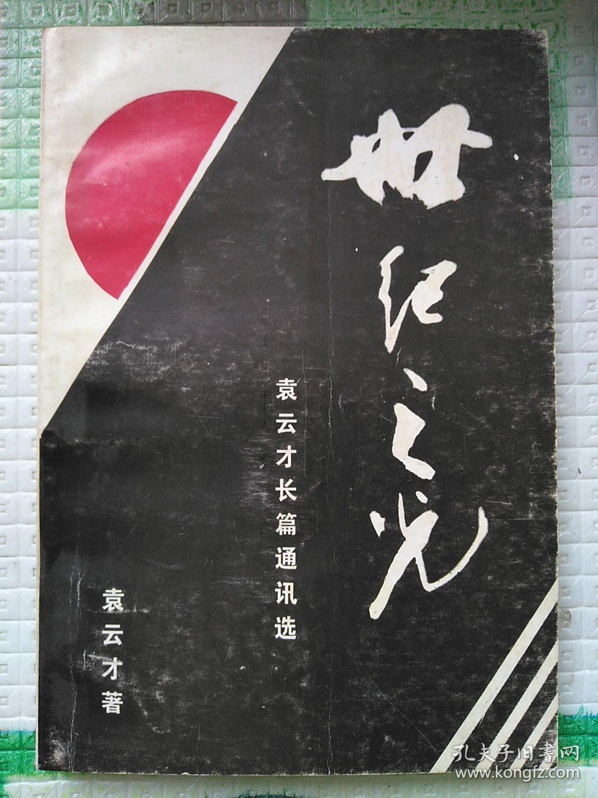 世纪之光—袁云才长篇通讯选
