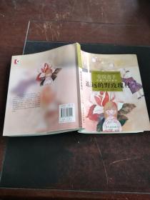 遙遠的野玫瑰村