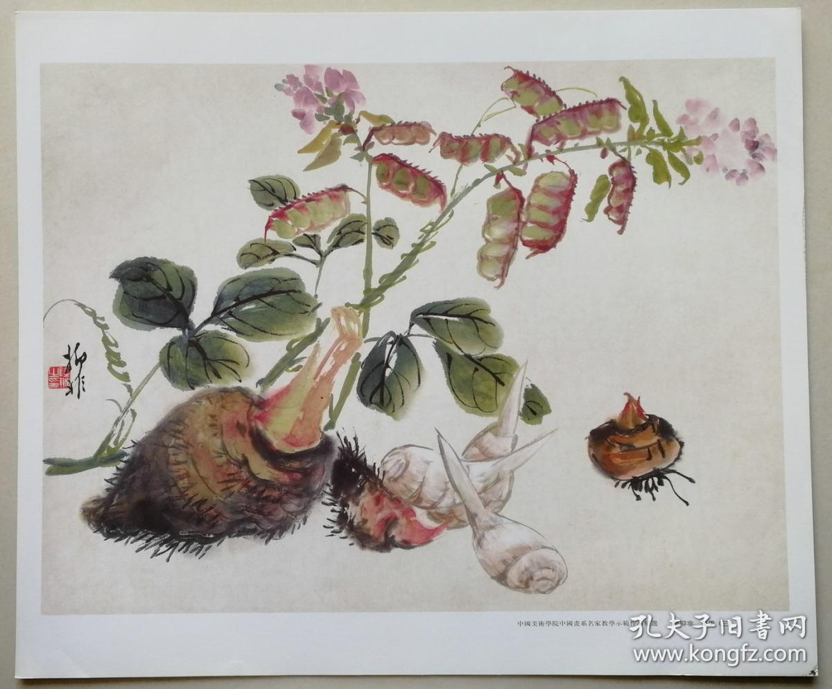 中*美院教授陆抑非中国画系教学示范作品《蔬果》