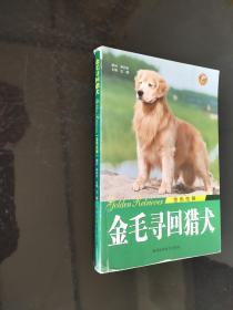 金色炫舞：金毛寻回猎犬  /