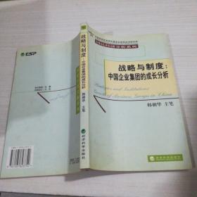 国民经济分析系列:战略与制度-中国企业集团的成长分析