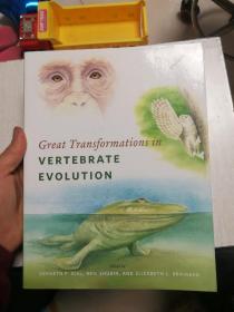 现货  Great Transformations in Vertebrate Evolution  英文原版 脊椎动物进化史  脊椎动物进化的大转变 古生物学 系统发育学 发育生物学 生态学 进化生物学