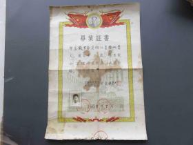 2381#1958年上海卢湾区太仓路小学毕业证书，校长杜景兰