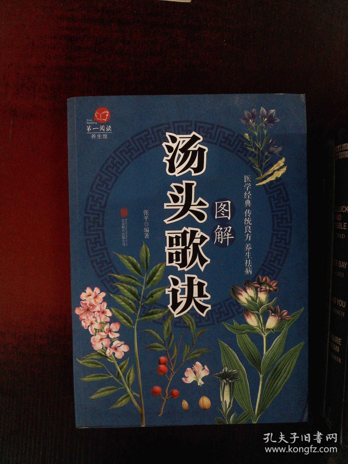 rt 图解汤头歌诀/张平