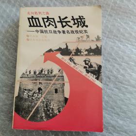 血肉长城：中国抗日战争著名战役纪实