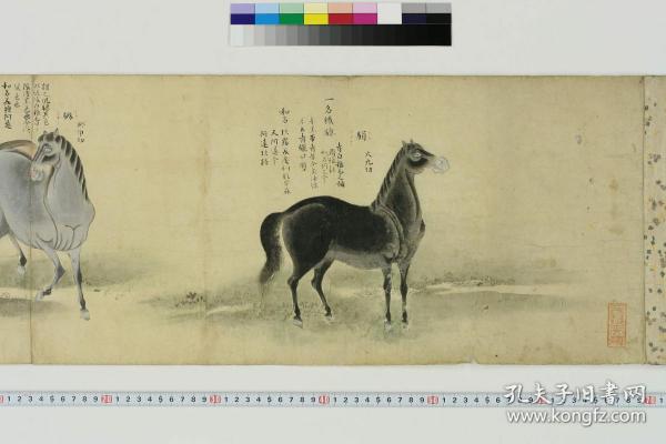 复印件 公元1647年仿真长卷 百马图 长6厘米 纵33 5厘米 长卷出自于日本江户初期狩野派画家狩野主马助的手笔 作品的完成年份是在正保四年即公元1647年 距今有350多年的历史 纸本墨画浅着色 共画有57匹马 其中55匹用楷体书写马的名称 每一匹马的姿势各不一样 复印件 公元1647年仿真长卷 百马图 长6厘米 纵33 5厘米 长卷出自于日本江户初期狩野派画家狩野主马助的手笔 作品的完成年份是在正保四年即公元1647年 距今有350多年的历史 纸本墨画浅着色 共画有57匹马 其中55匹用楷体书写马的名称 每一匹马的姿势各不一样