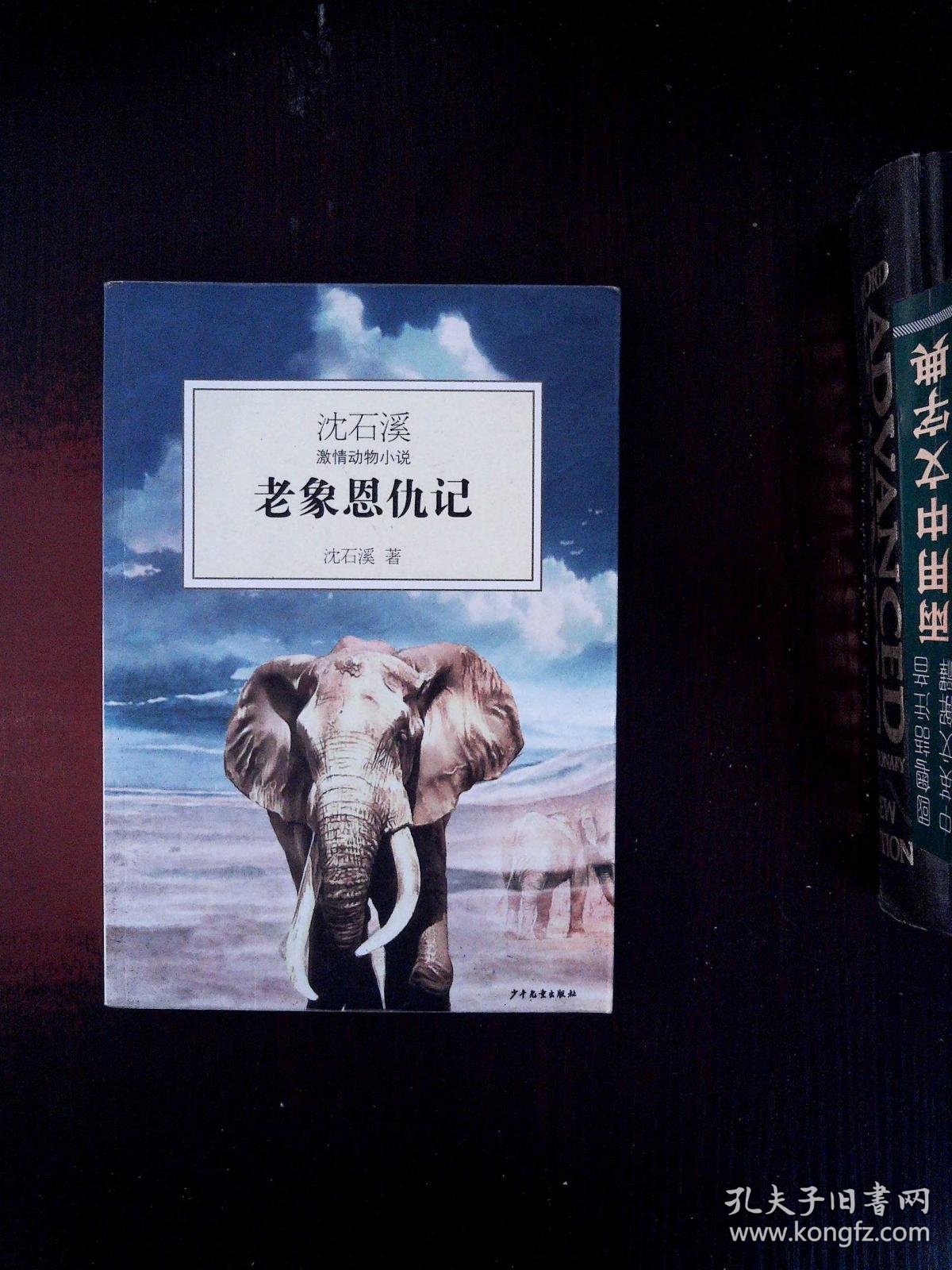沈石溪激情动物小说:老象恩仇记
