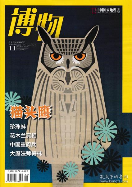 博物杂志2020年11月总第203期猫头鹰 中国国家地理少年版 探索自然