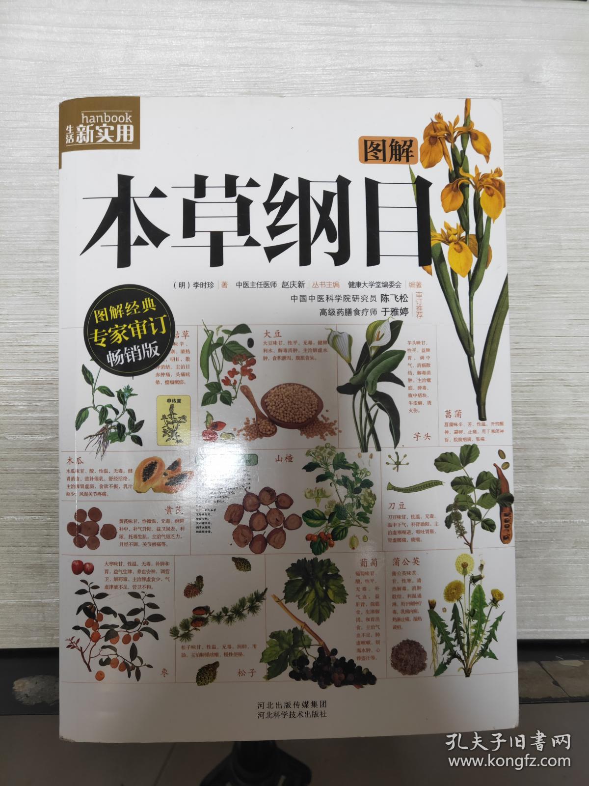 图解本草纲目(图解经典专家审订畅销版)2013年一版一印