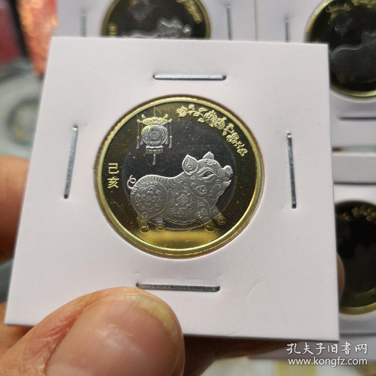 2019年生肖猪纪念币10元面值