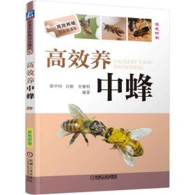 正版现货 高效养中蜂 养蜂技术书籍 科学饲养技术大全 中蜂养殖技术书籍 中蜂饲养手册 实用技术 高效养蜂实例教程 养蜜蜂的书