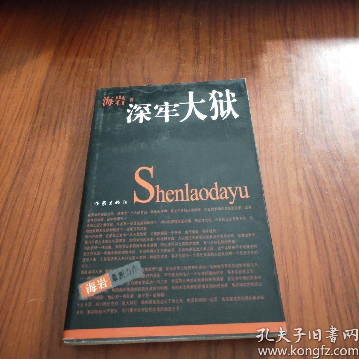 深牢大狱:海岩最新力作