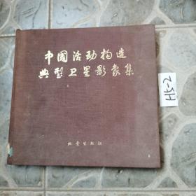 中国活动构造典型卫星影像集 82年一版一印 仅印5000册  精装本