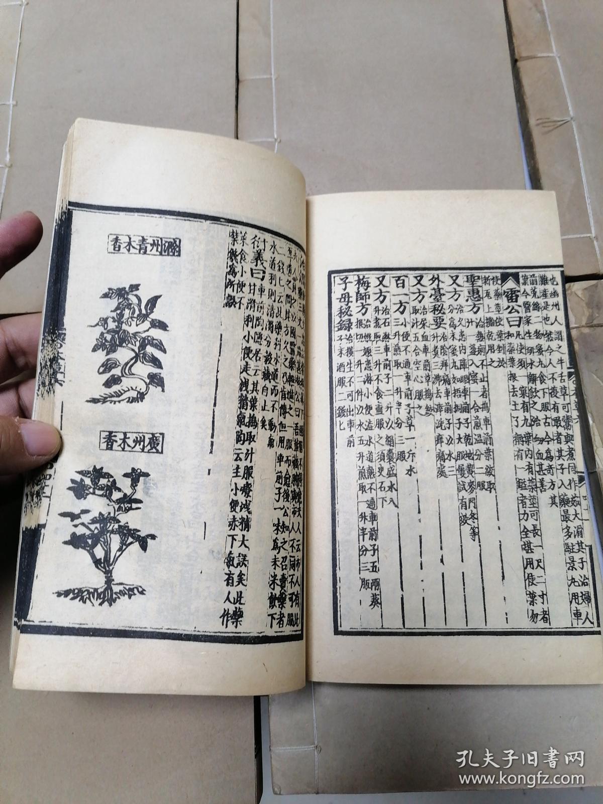 《 重修政和证类本草》民国上海涵芬楼影印金泰和晦