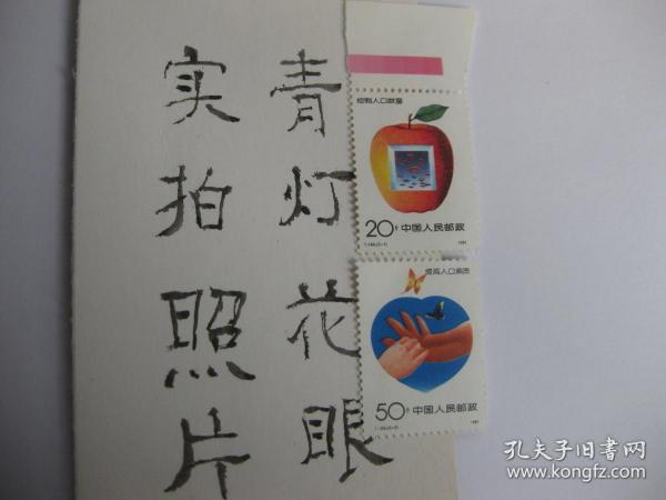 2020人口普查邮票含义_2020人口普查