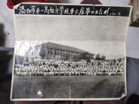 洛阳市第一高级中学校第六届毕业生合影，黑白照片，1960年！超级大，长28.5公分宽24公分！