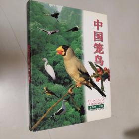 中国笼鸟 施泽荣  8开 精装本 江西科学技术出版社 1997年1版1印  全彩图 品佳 私藏