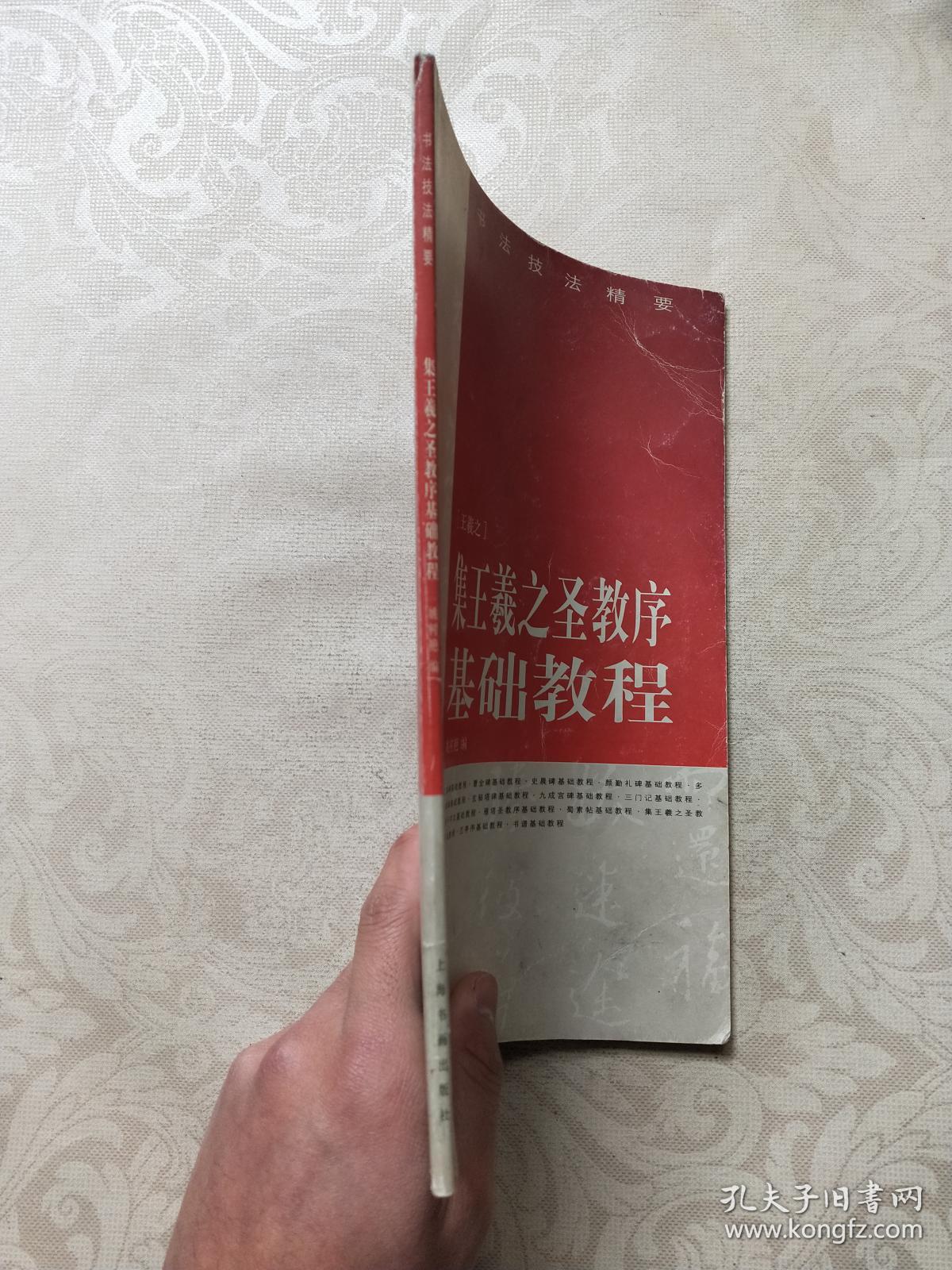 书法技法精要:集王羲之圣教序基础教程