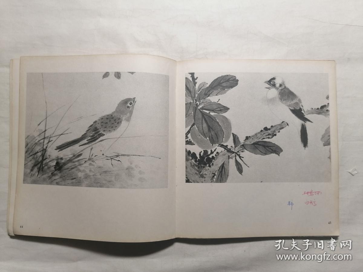 江寒汀百鸟图