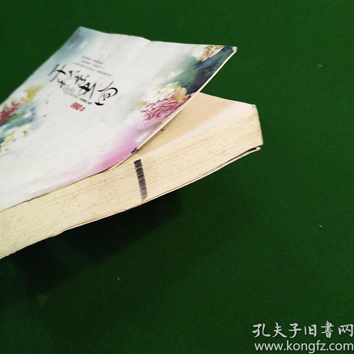 衣香鬓影2千秋素光同