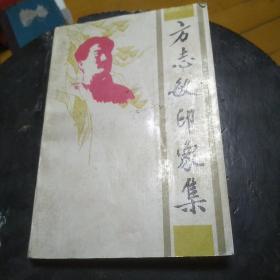 方志敏印象集